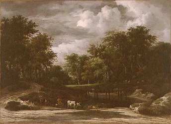 Paysage boisé