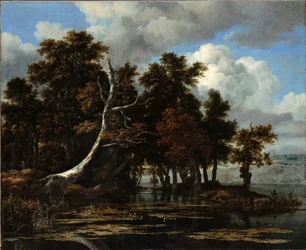 Chênes sur les berges d