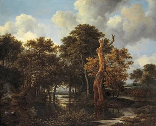 Paysage marécageux boisé avec arbre mort, v. 1665