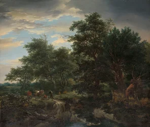 Scène de forêt