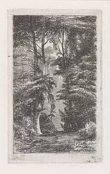 Allée forestière