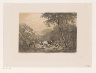 Berger avec troupeau dans les montagnes