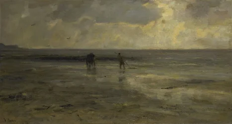 Plage au soir