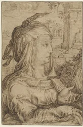 Femme en costume fantastique, de profil vers la droite