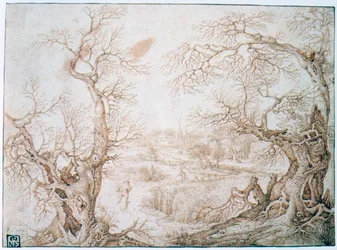 Paysage d