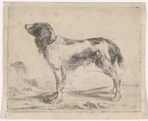 Chien debout