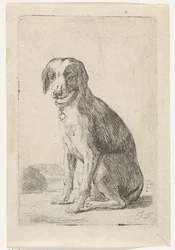 Chien assis avec collier
