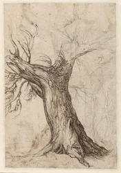 Châtaignier avec quelques arbres autour