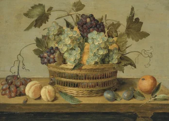 Nectarines et raisins dans un panier sur une table, avec des prunes, des oranges, un papillon et un scarabée
