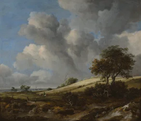 Un champ de maïs avec le Zuiderzee en arrière-plan, vers 1660