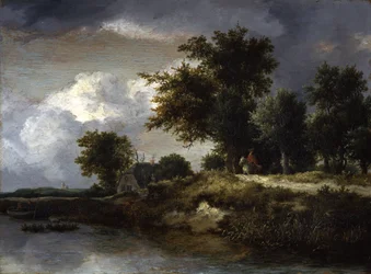 Une rive boisée