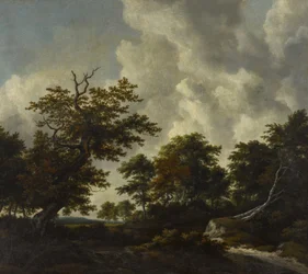 Paysage de bosquets avec un grand chêne et deux hêtres abattus près d