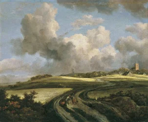 Chemin à travers les champs de blé près de Zuider Zee
