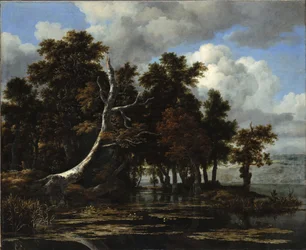 Chênes au bord d