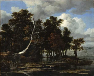 Chênes au bord d