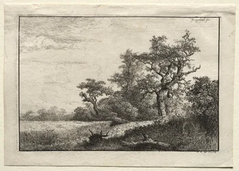 Le champ de blé