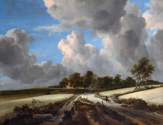 Champs de blé