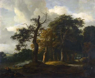 Chemins de la forêt de chênes