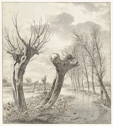 Paysage d