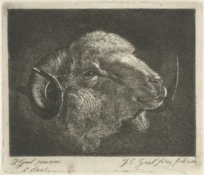 Tête de bélier avec cornes tournées vers l