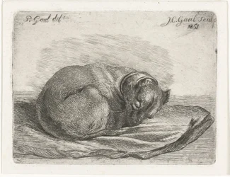 Chien endormi, couché sur une couverture