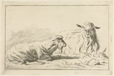 Deux chèvres couchées