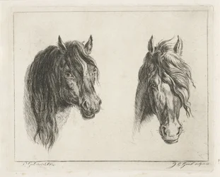 Deux têtes de chevaux
