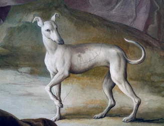 Chien (détail)