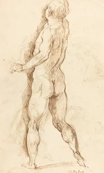 Homme nu vu de dos