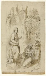 Vision de Saint François d