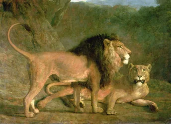 Un lion et une lionne dans une vallée rocheuse