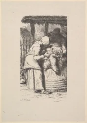 Tonte des moutons