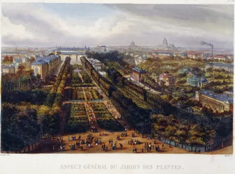 Vue du Jardin des Plantes - lithographie par Testard