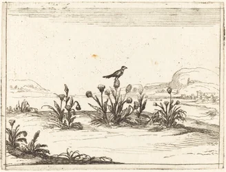 Oiseau perché sur un chardon