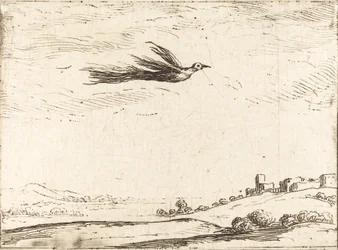 Oiseau de paradis