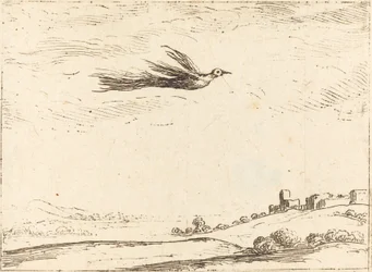 Oiseau de paradis
