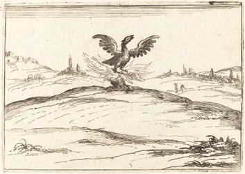 Phénix en feu