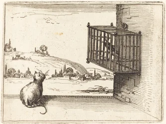 Chat regardant un oiseau en cage