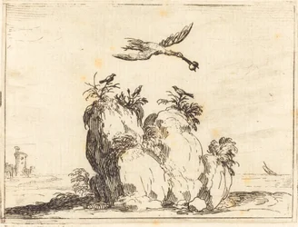 Grue Volante