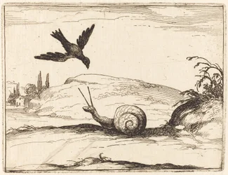 Corbeau et escargot