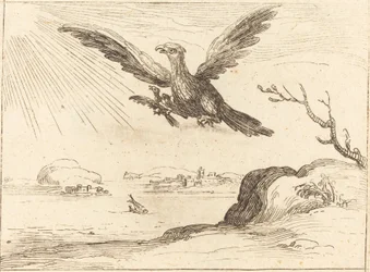 Aigle et jeunes