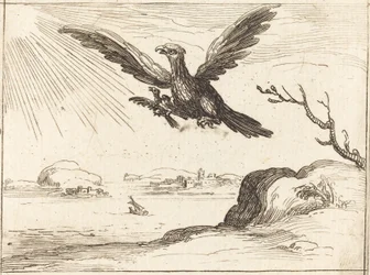 Aigle et jeunes