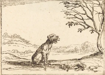 Lionne pleurant son petit