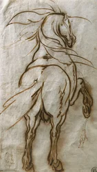 Étude d