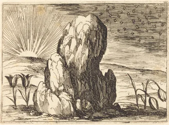 Les tulipes et le soleil