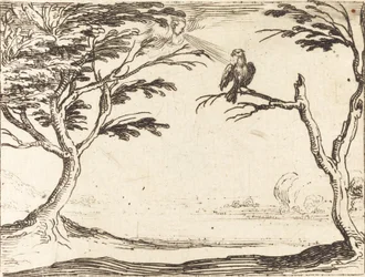 Le Vautour