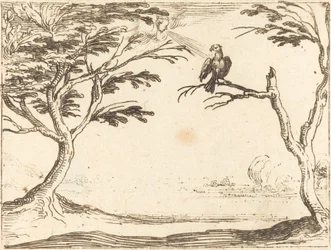 Le Vautour