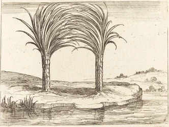 Deux palmiers
