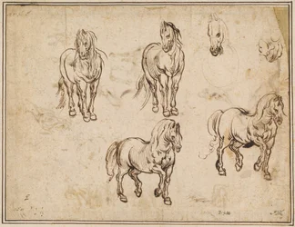 Études de chevaux (recto)