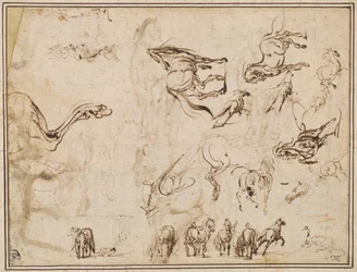 Études de chevaux [verso]